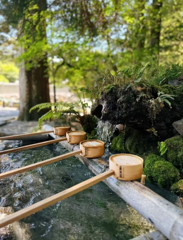 All checked-in Kagoshima Kirishima Line: Boutique small group one-day tour/Myth Park + Shrine Blessing + Maruo Waterfall + Takachiho Ranch Healing Tour - Meeting in Kagoshima and returning to town