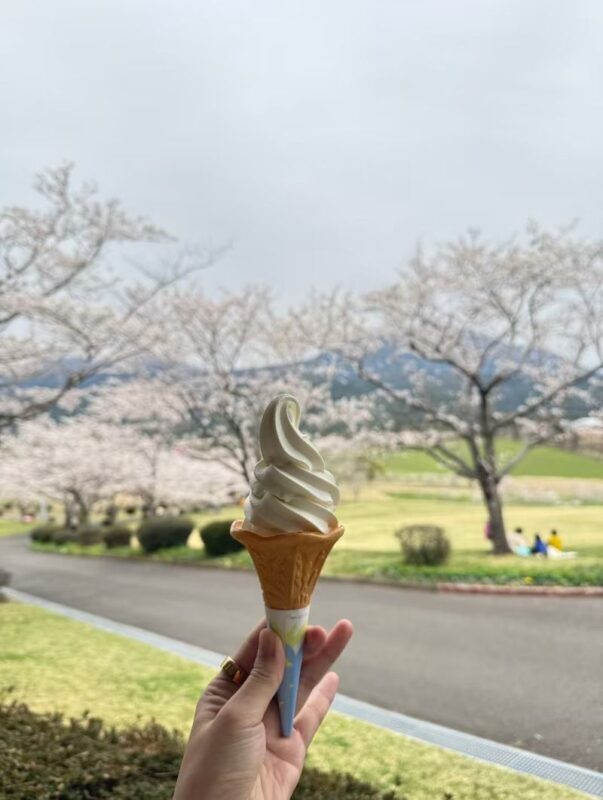 All checked-in Kagoshima Kirishima Line: Boutique small group one-day tour/Myth Park + Shrine Blessing + Maruo Waterfall + Takachiho Ranch Healing Tour - Should you book it?