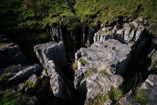 All Creatures Great & Small Tour From York - Inclusions