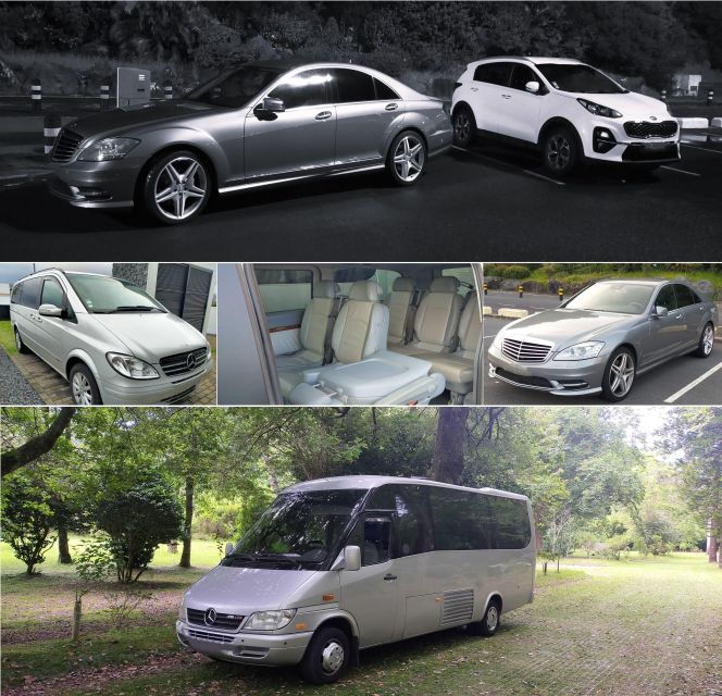 ALL CRUISES - Shore Tour Sete Cidades Green & Blue Lakes - Itinerary Highlights