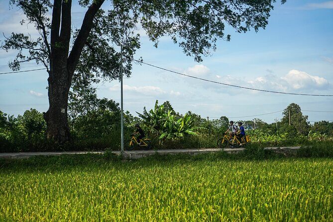 ALL DAY 6 HOURS: Ride to the Lost Kingdom Cycling Tour - Authentic Experiences and Hidden Insights