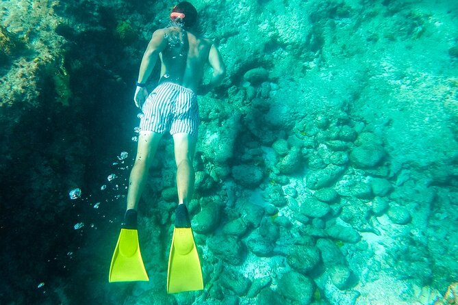 All Day Adventure With a Beach BBQ Feast From Providenciales - Reviews and Ratings