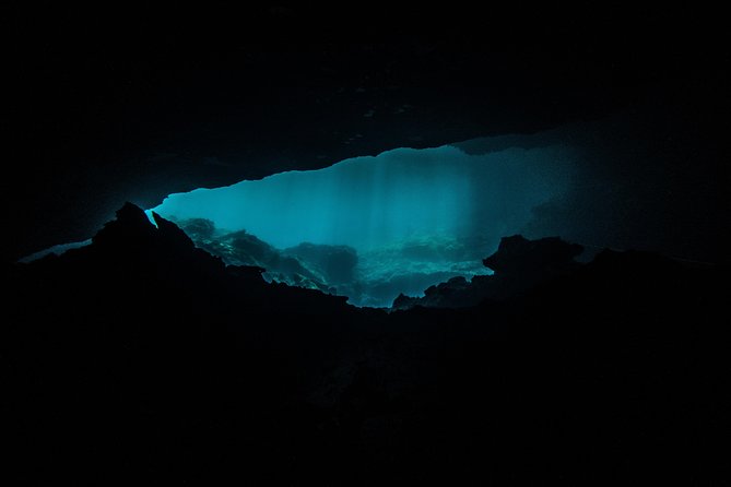 All-Day Cenote Scuba Diving Excursion From Playa Del Carmen - Reviews and Questions