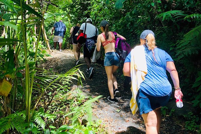 All-Day El Yunque & Luquillo Beach Experience in Puerto Rico  - San Juan - The Sum Up