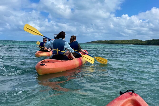 All Day Kayak Rental in Puerto Rico - Additional Information