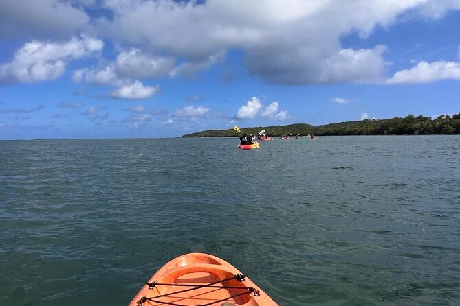 All Day Kayak Rental in Puerto Rico - Reviews and Contact Information