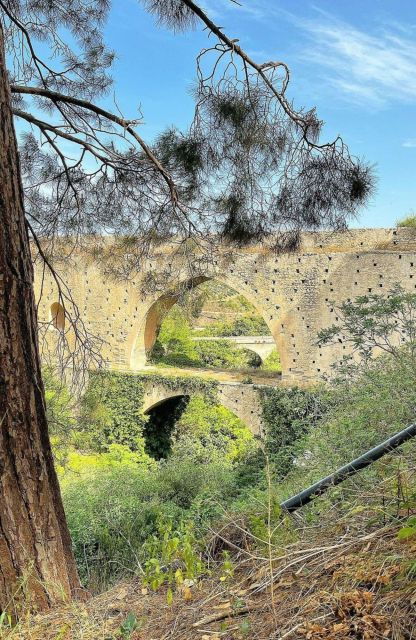 All-Day Knossos Palace Tour & Olive Mill Visit - Booking Information