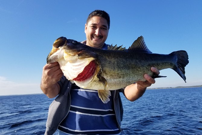 All Day Lake Toho Fishing Trip Near Kissimmee - Professional Fishing Guide