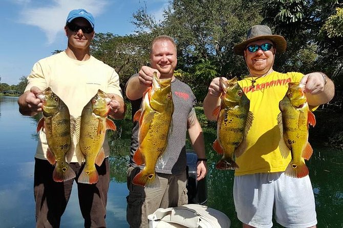 All Day Miami Peacock Bass Fishing Trip - Tour Details and Inclusions