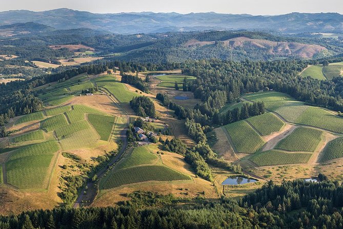 All Day Northern Oregon Wineries and Forest Bike Tour - Good To Know