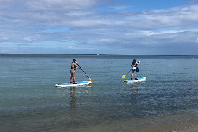 All-Day Paddleboard Rental  Fajardo, Puerto Rico - Introduction