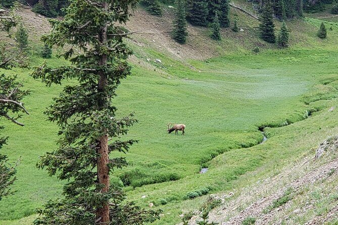 All Day Rocky Mountain National Park to Grand Lake Tour - Good To Know