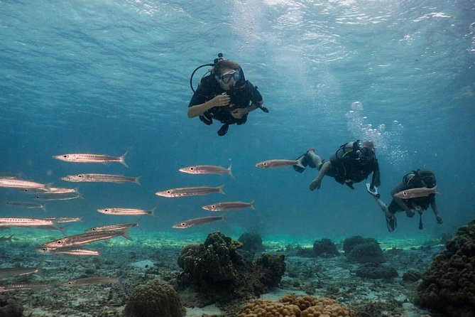 All-Day Scuba Diving Excursion in Thailand  - Ko Lanta - Traveler Photos and Reviews