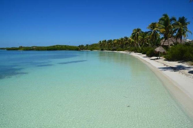 All-Day Tour of Isla Contoy  - Playa Del Carmen - Cancellation Policy