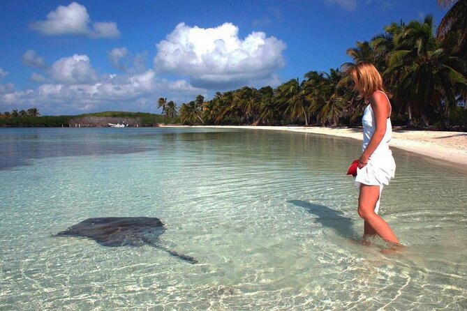 All-Day Tour of Isla Contoy  - Playa Del Carmen - The Sum Up
