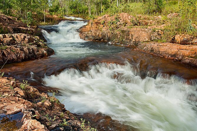 All-Day Tour of Litchfield National Park  - Darwin - Knowledgeable Guide