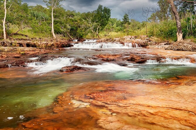 All-Day Tour of Litchfield National Park  - Darwin - Customer Satisfaction and Booking Information