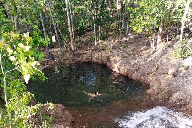 All-Day Tour of Litchfield National Park  - Darwin - The Sum Up