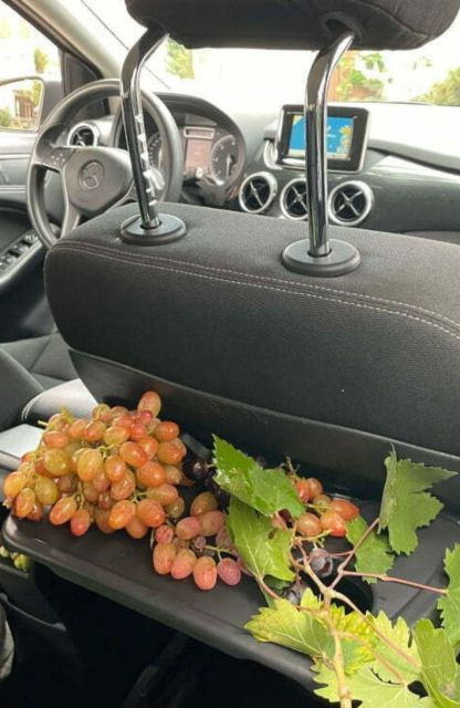 All-Day Wine Tasting Tour - Tour Description