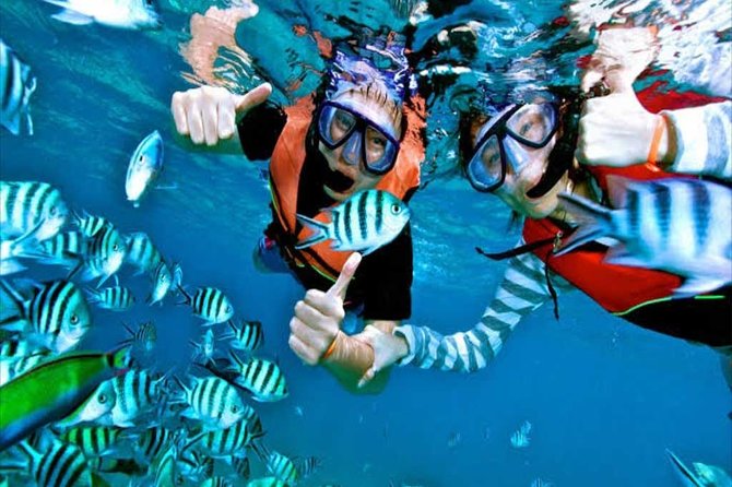 (ALL- IN) Bali Snorkeling Blue Lagoon And Tanjung Jepun - Reviews and Ratings