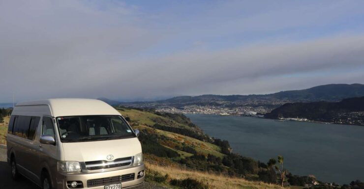 All in Dunedin - Nature & City Tour - Tour Experience Highlights