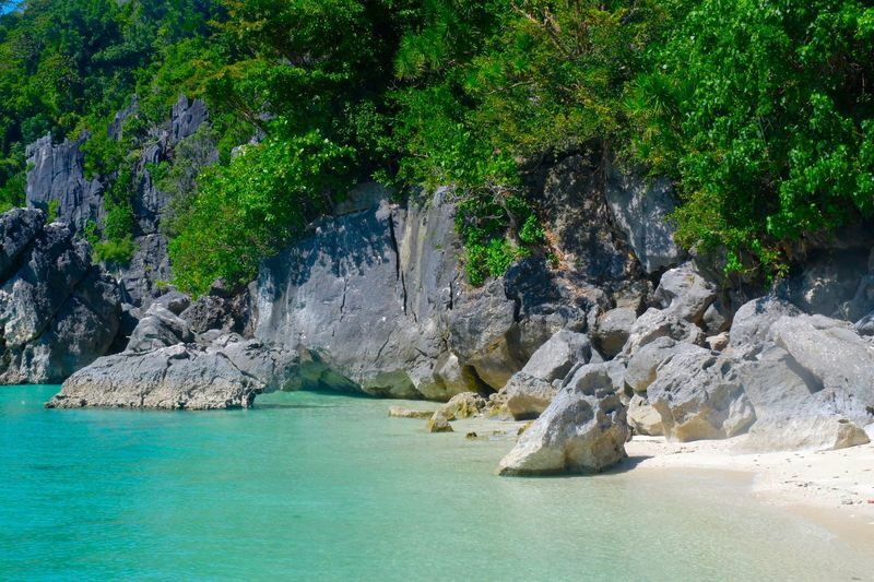 All-In Gigantes Islands Iloilo Private Guided Tour with Lunch - Scallops, drinks and the optional lunch