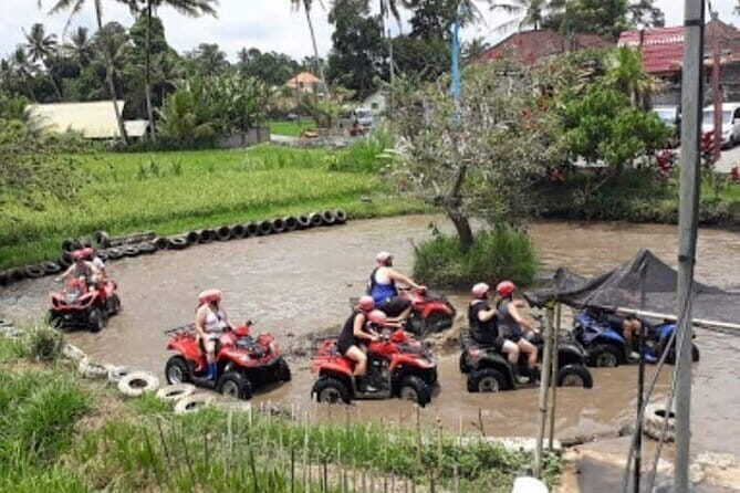 ALL IN Mount Batur ATV Quad Bike With Natural Hot Spring Lunch - Who Is This Tour Best For?