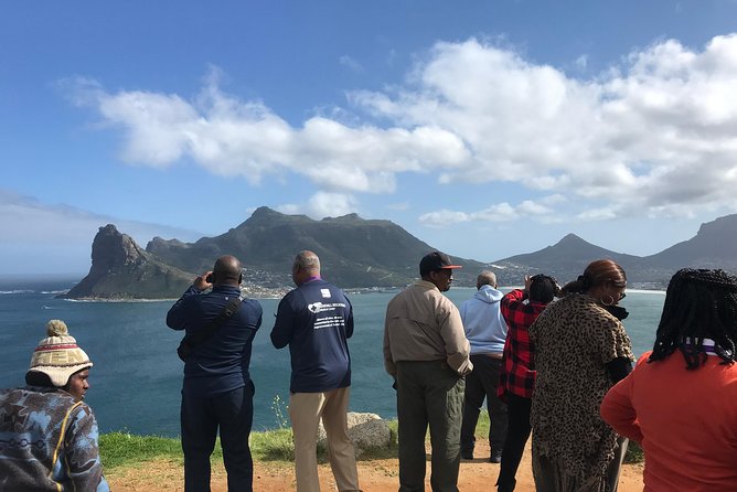 All in One African Penguins and Wine Tasting - Tour Highlights