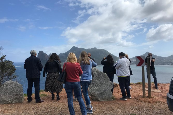 All in One African Penguins and Wine Tasting - African Penguins Conservation