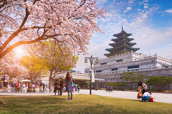 All in One Full Day Tour 3(Gyeongbok Palace-N Seoul Tower-Gwang Jang Market) - Lesser-known Sides of the City