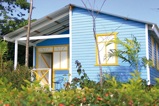 All-In-One Punta Cana Tour: Buggy, Zipline, Horseback, & Cenote - Who Will Love This Tour?