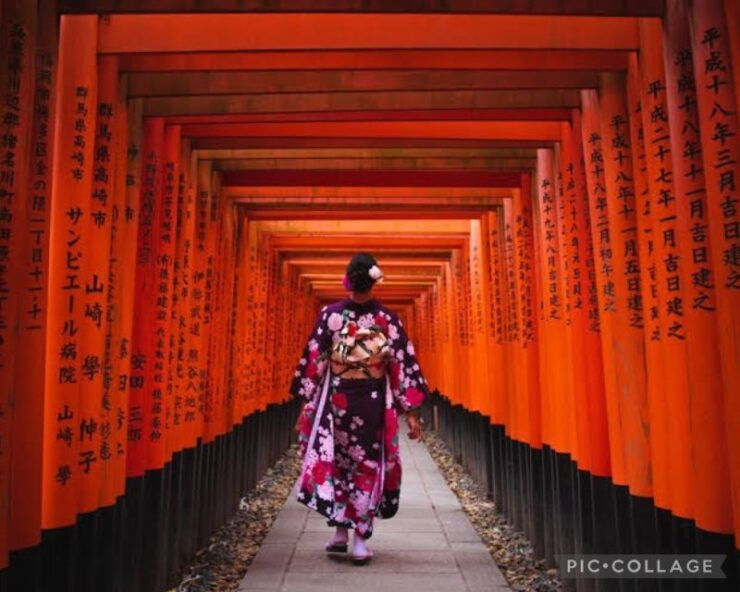 ALL-IN Private Tour KYOTO W/Hotel Pick-Up and Drop-Off - Free Cancellation and Flexible Travel Plans