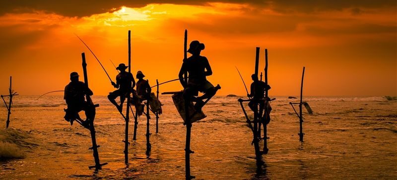 All-In River Safari, Galle, Mirissa Beaches(Whale watching optional) - A coast-to-fort day, starting before breakfast