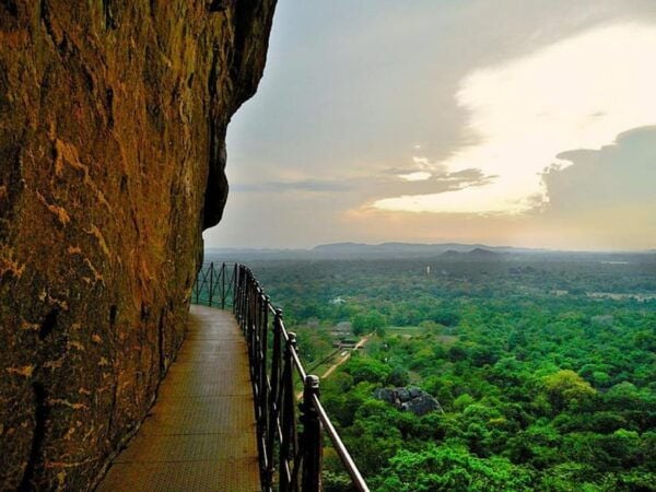 All in Sri Lanka 7-Days Tour, History, Culture, Nature - Transportation Information