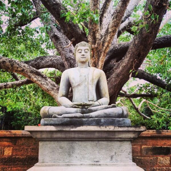 All Include Full-Day Sigiriya, Dambulla, Pidurangala Private - Tour Experience Details