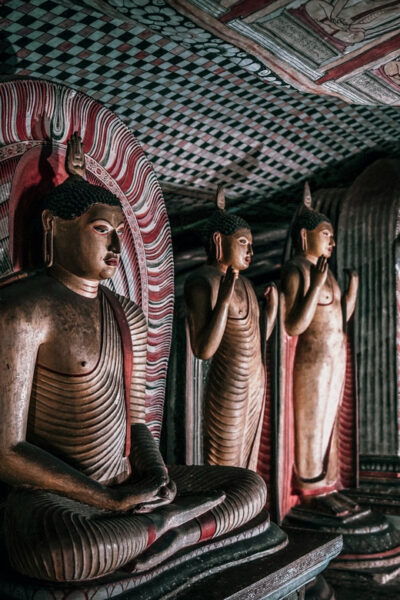 All Include Full-Day Sigiriya, Dambulla, Pidurangala Private - Important Information and Tips