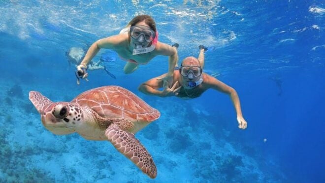All Include Snorkeling at Menjangan Island - Whats Included