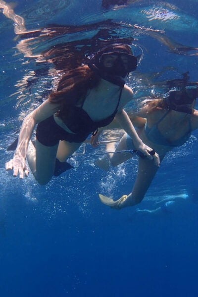 All Include Snorkeling at Menjangan Island - Questions You May Have