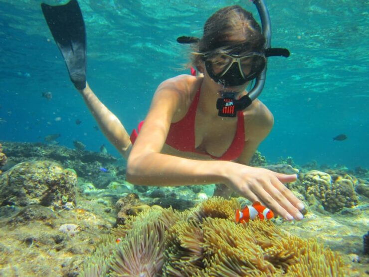All Include Snorkeling Menjangan Island - Pricing Details