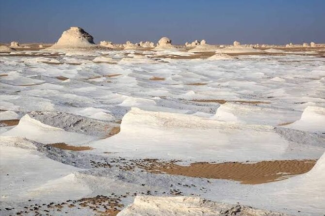 All Inclusive 2 Days Experience at White Desert From Cairo or Giza - Customer Ratings and Reviews