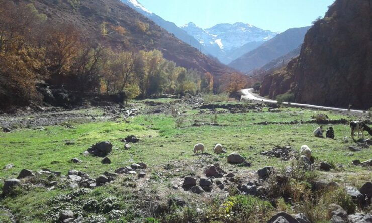 All-Inclusive 2 Days Hiking in the Atlas Mountains - Experience Highlights