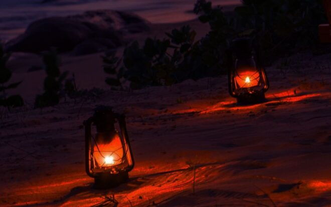 All-Inclusive Afternoon Yala Safari With Beach BBQ Dinner - Pickup and Transportation Details