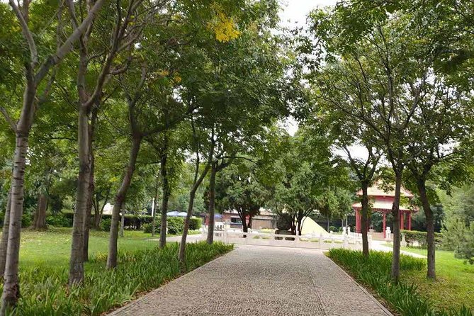 All Inclusive Anyang Yin Xu Ruins and Character Museum Day Tour From Zhengzhou - Overview of the Tour