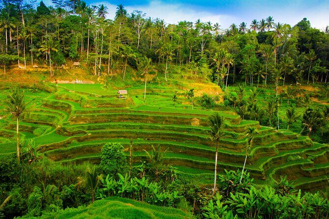 All Inclusive Bali ATV with Rice Terraces, Swing and Waterfall - Authenticity and Guides: What Sets This Tour Apart