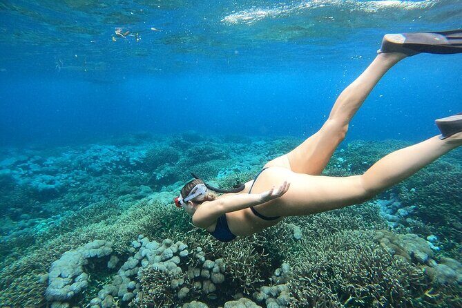 All Inclusive Bali Blue Lagoon and Tanjung Jepun Snorkeling - The Sum Up