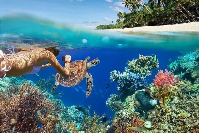 All Inclusive Bali Blue Lagoon Snorkeling Adventure - Introduction