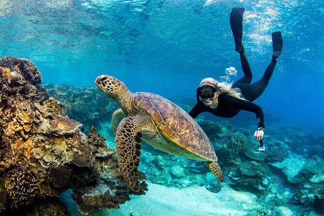 All Inclusive Bali Blue Lagoon Snorkeling Adventure - Who Should Book This Tour?