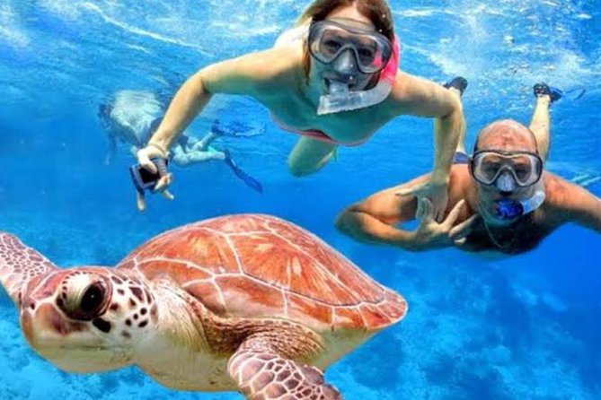 All Inclusive Bali Blue Lagoon Snorkeling With Lunch and Transport - Snorkeling at Bali Blue Lagoon