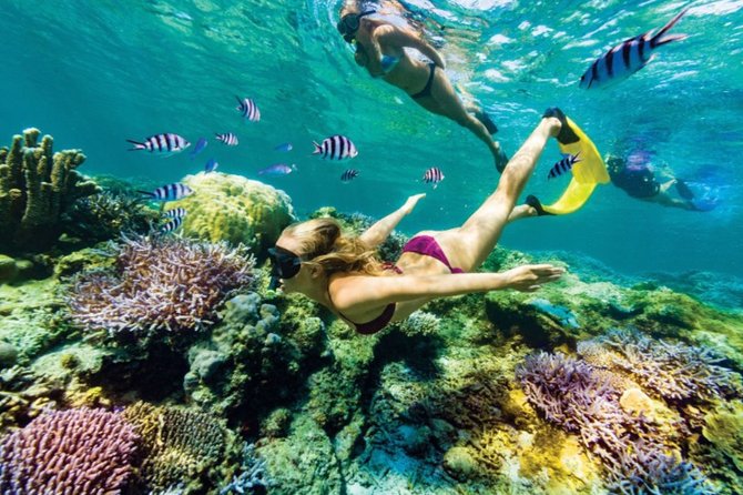 All Inclusive Bali Blue Lagoon Snorkeling With Lunch and Transport - Inclusions and Exclusions