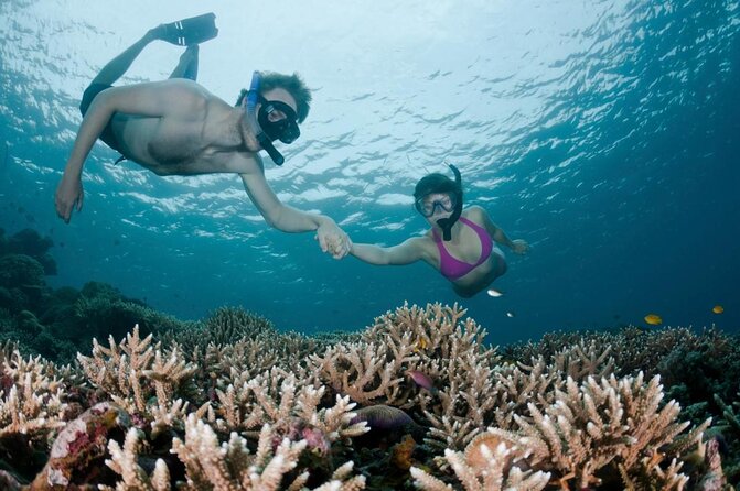 All Inclusive Bali Scuba Diving at Tulamben With Lunch -Transport - Lunch Inclusions Details
